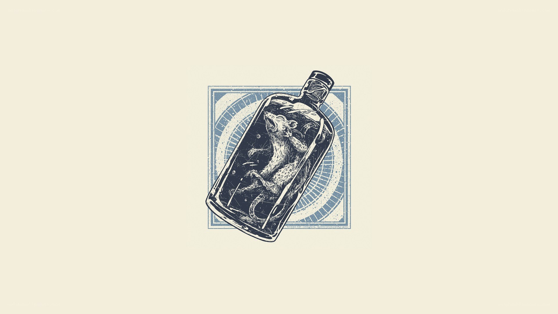 rat in a bottle illustration