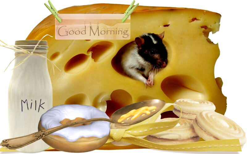 Rat in Cheese Hole — Yellow, Whimsical