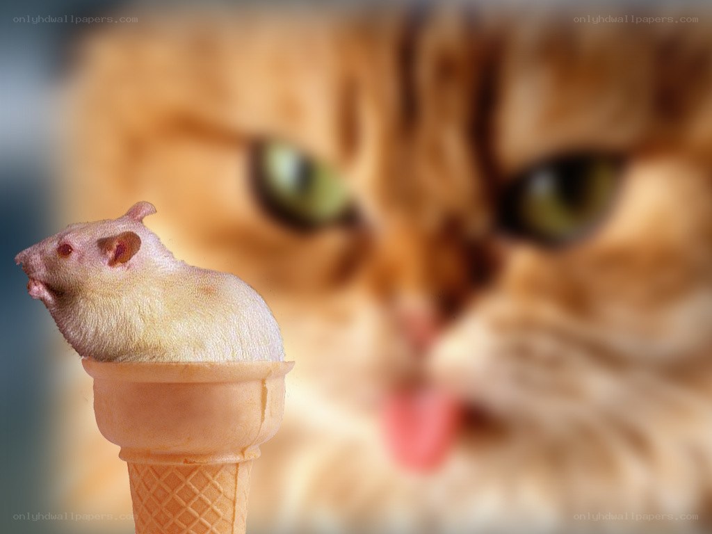 rat in ice cream cone