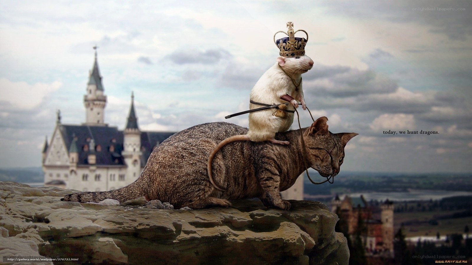 rat king on cat dragon hunt