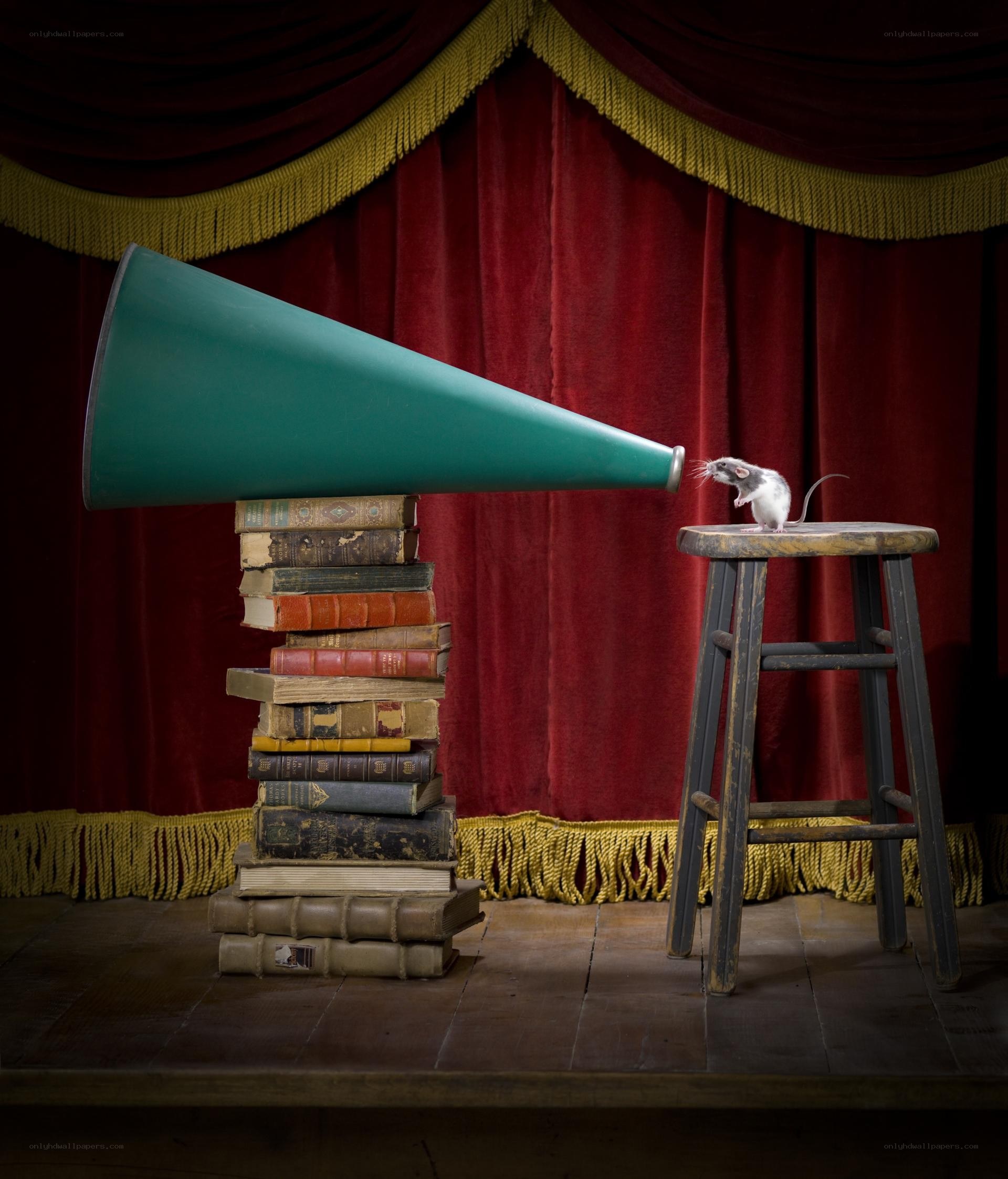 rat on stage with megaphone