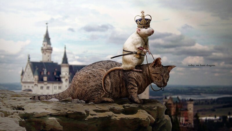 Rat Riding Cat — Gray, Dramatic