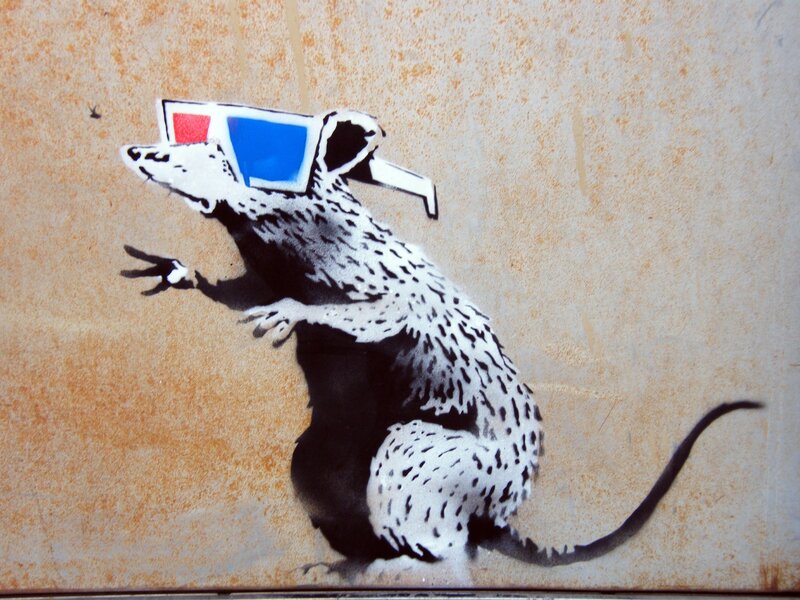 rat wearing 3D glasses