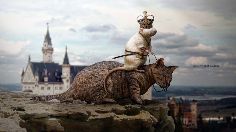 Rat Wearing Crown on Cat