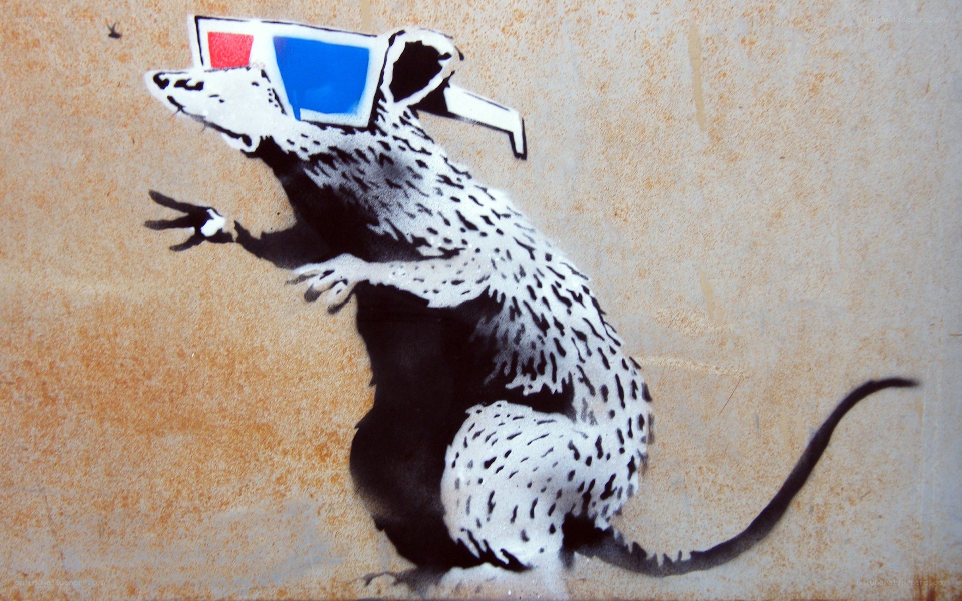 rat with 3D glasses