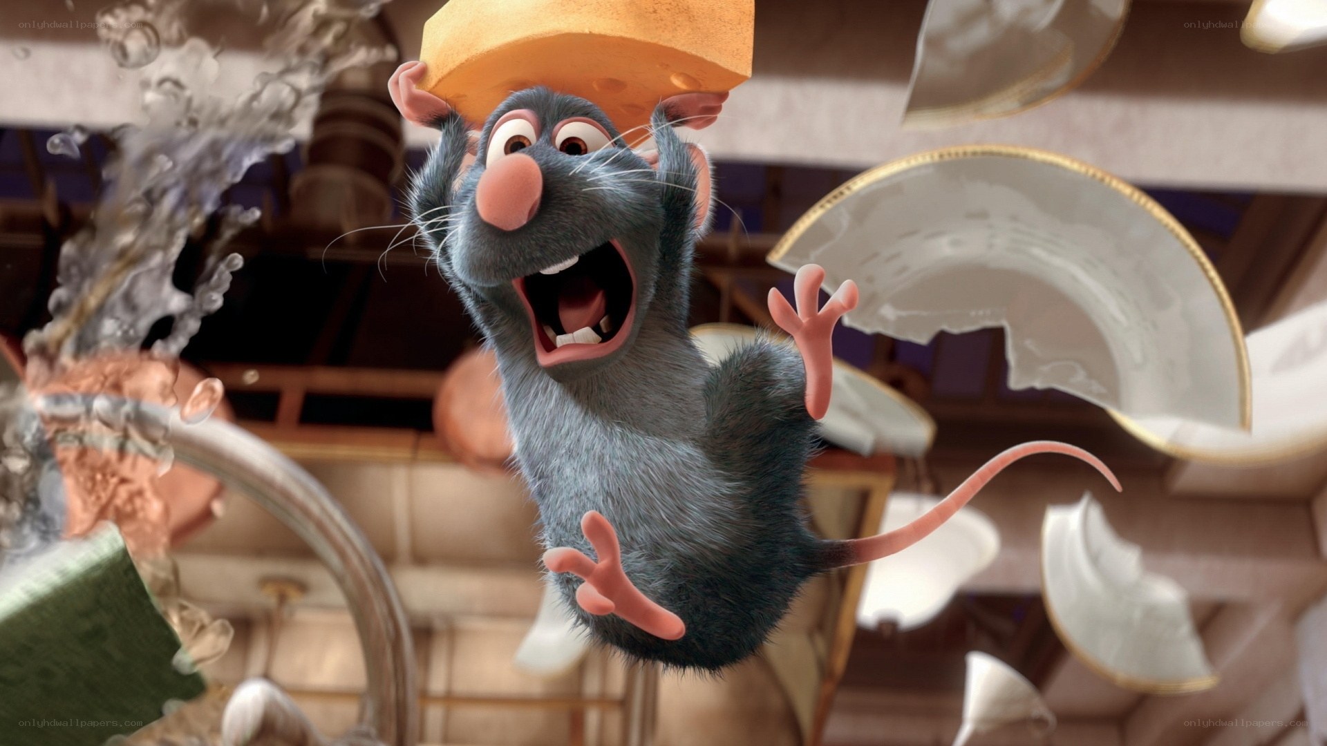 Ratatouille rat with cheese