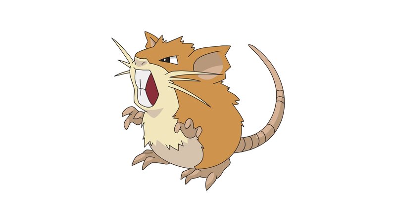 Raticate Character