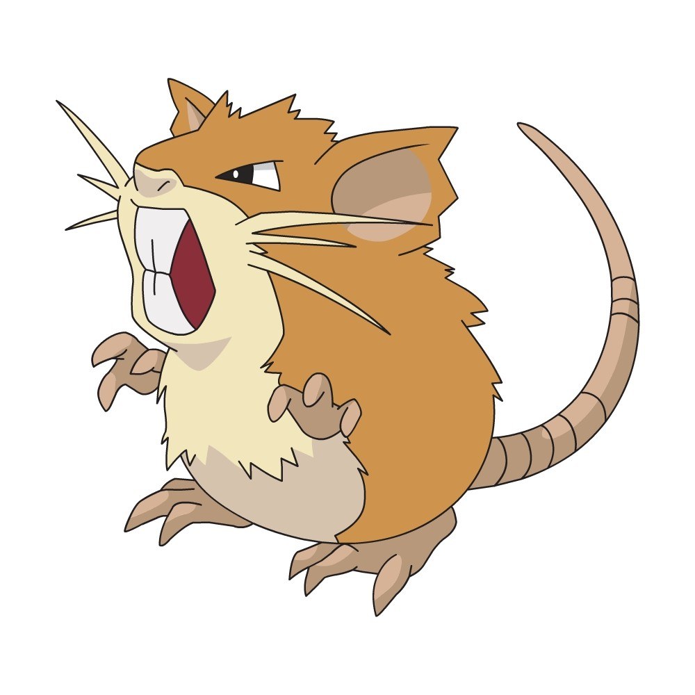 Raticate Pokémon character