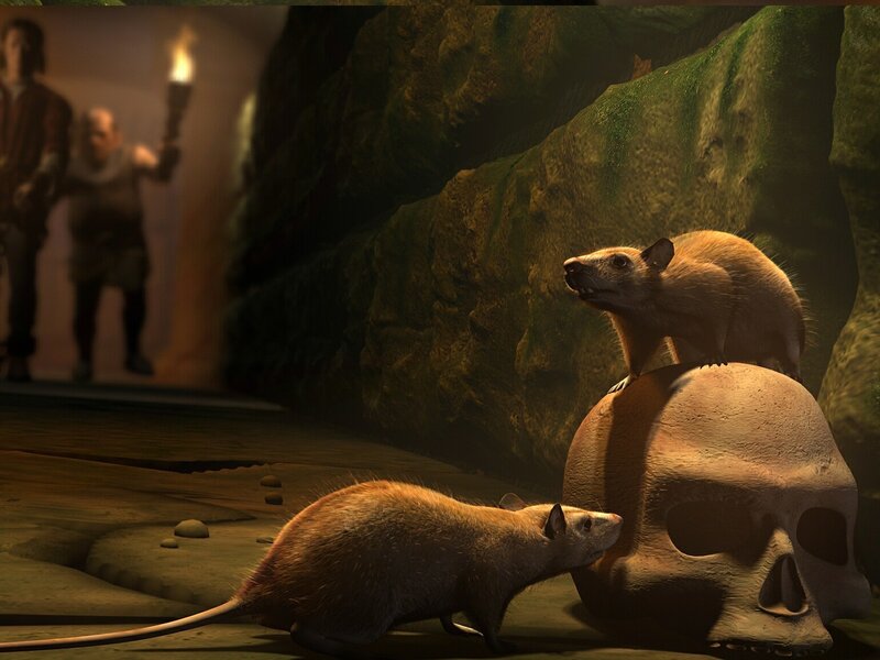 Rats in a cave with explorers