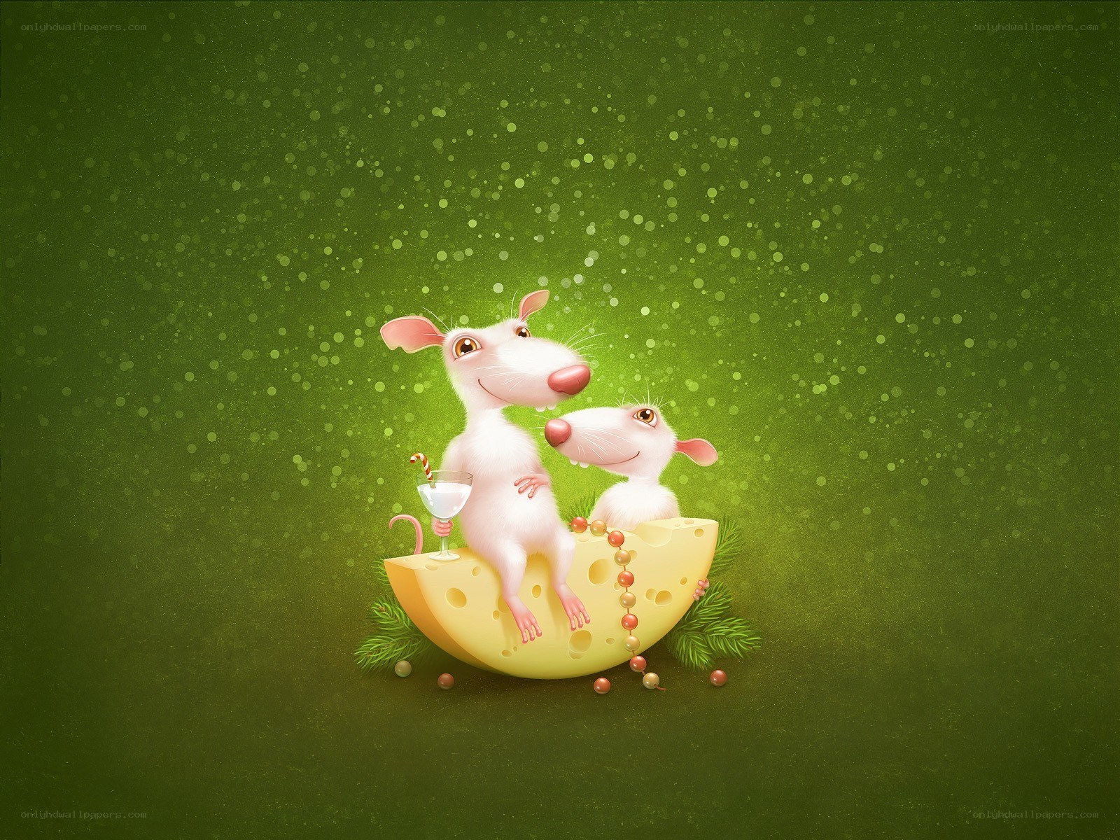 Rats on a cheese boat