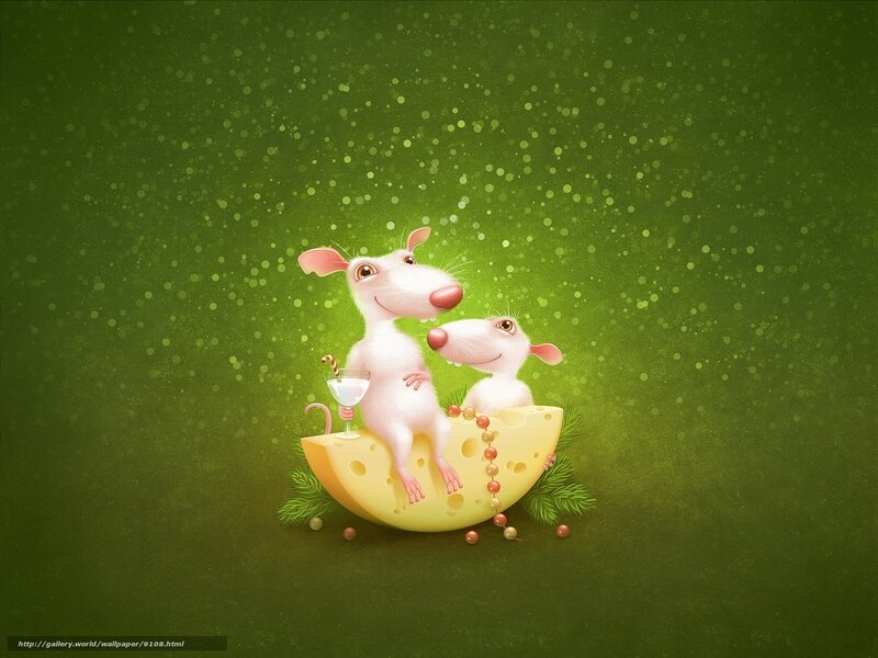 Rats on a cheese wedge
