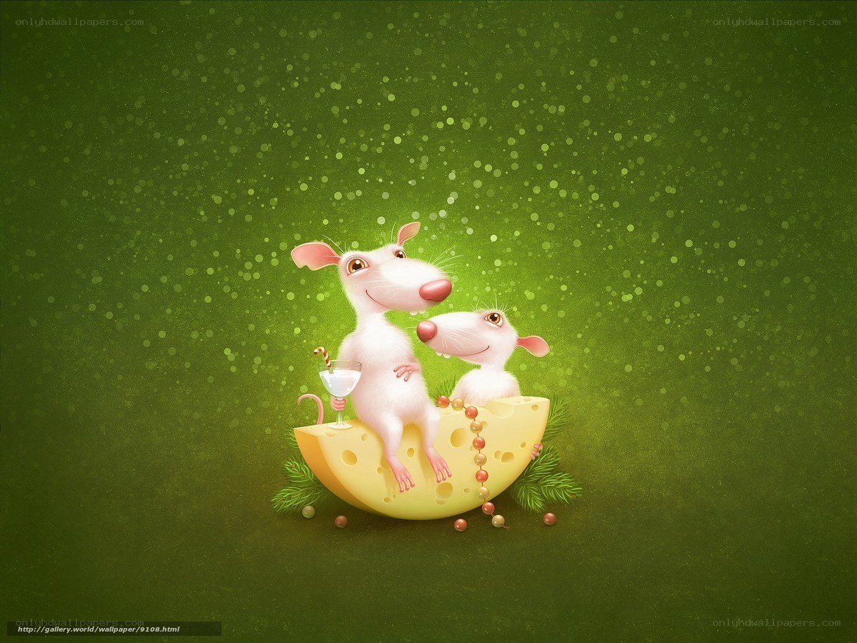 Rats on a cheese wedge