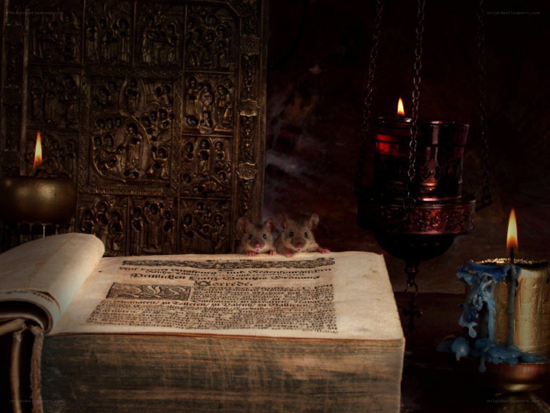 Rats on an ancient book