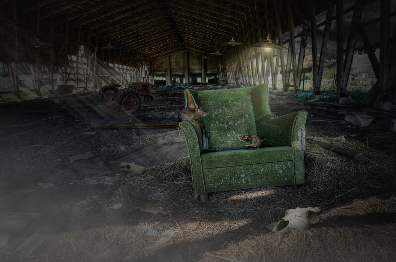 Rats on Green Armchair
