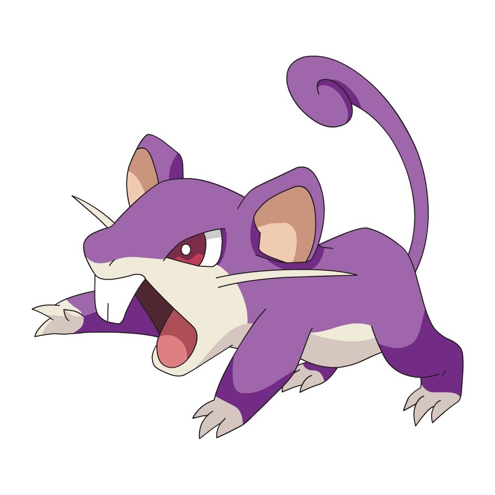 Rattata in a fierce pose