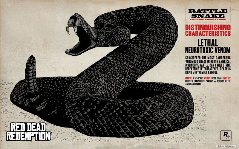 Rattlesnake Illustration — Black, Dramatic, Snake