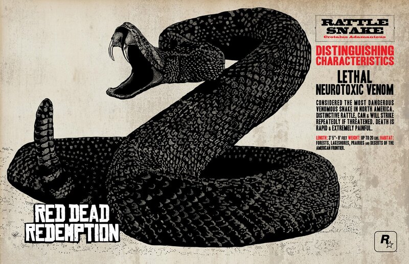 Rattlesnake Illustration — Black, Dramatic