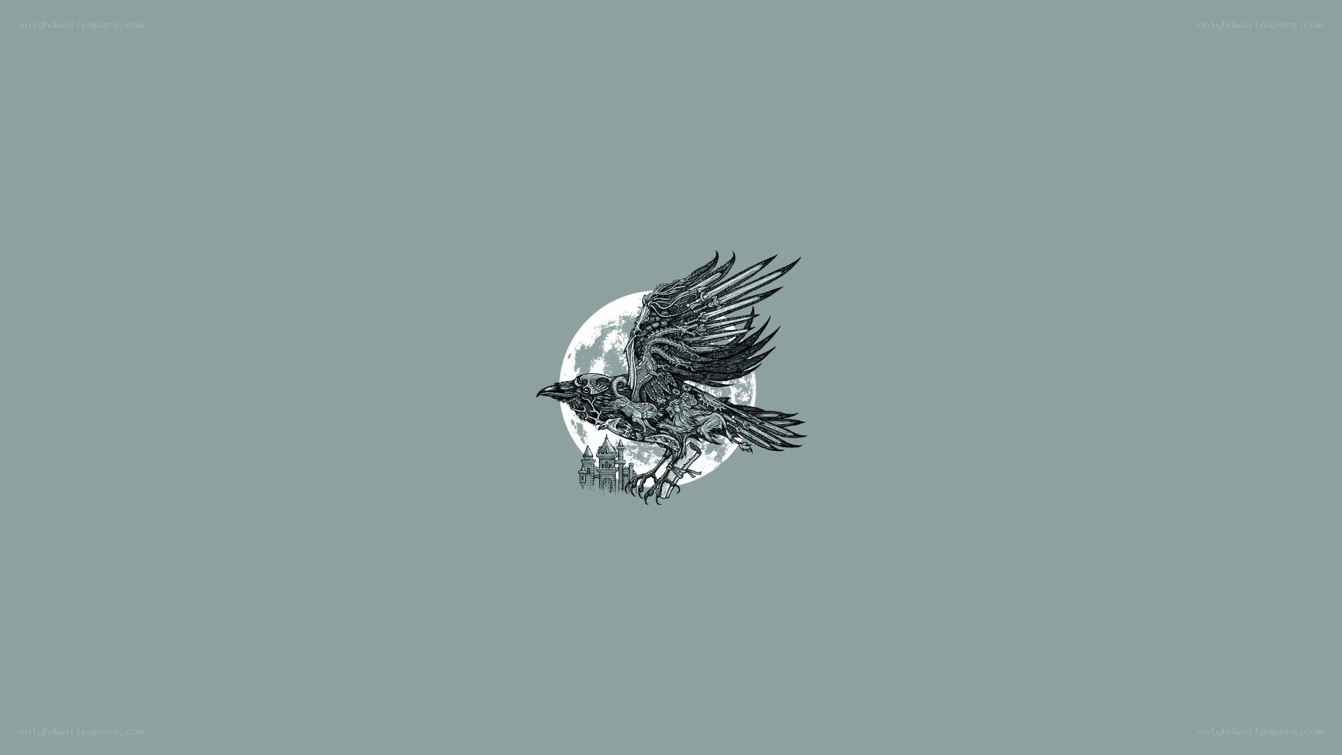 raven flying over moon