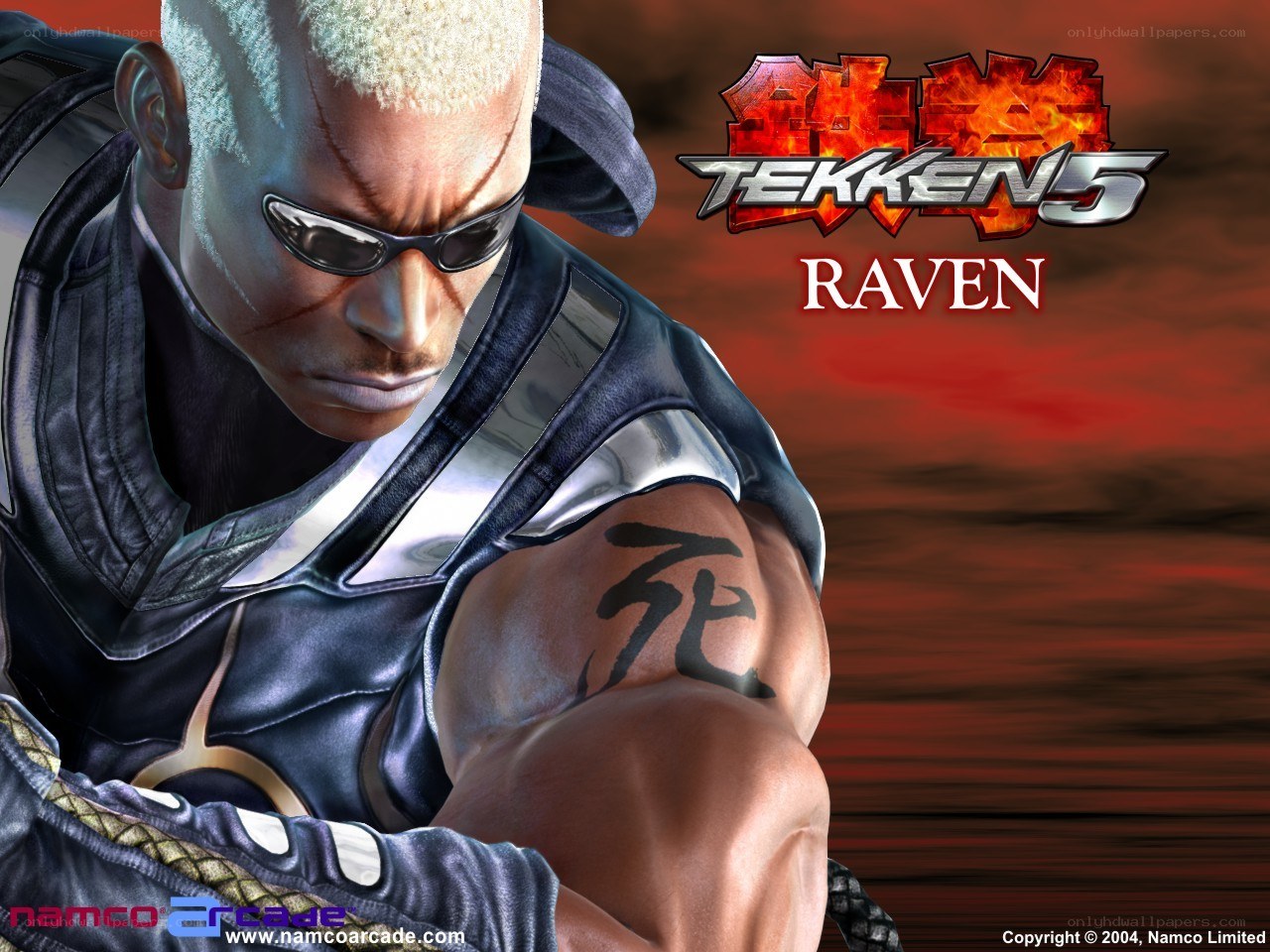Raven from Tekken 5