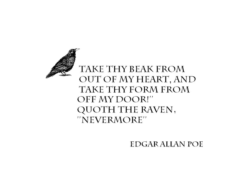 Raven Illustration
