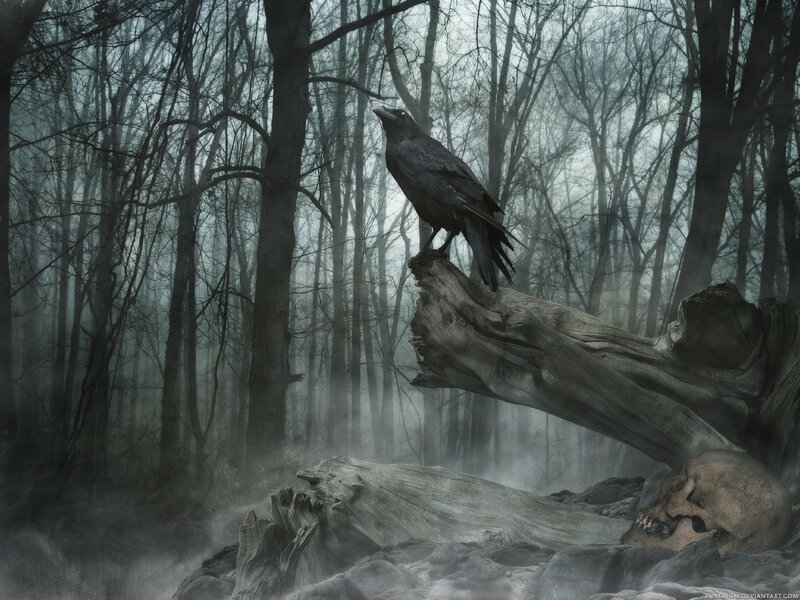 Raven in a misty forest