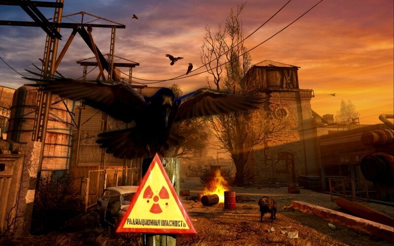 Raven in Wasteland — Orange