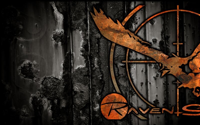raven logo on metal wall