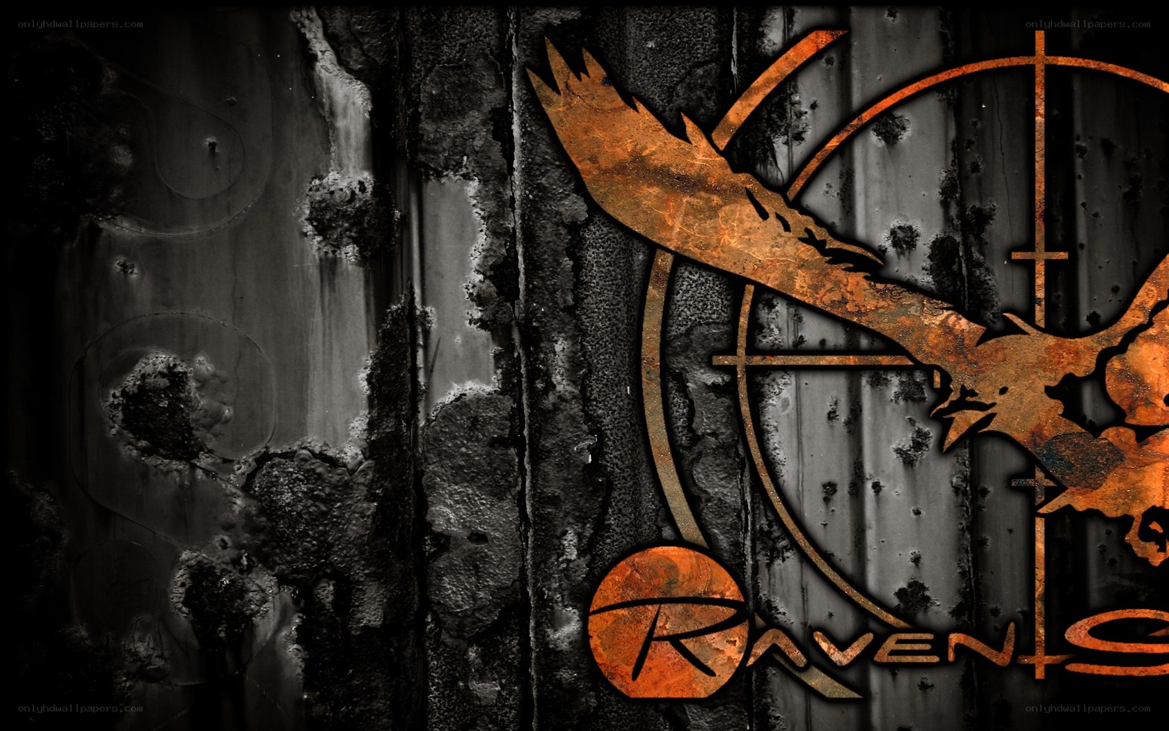 raven logo on metal wall