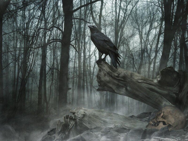 Raven on Dead Tree — Gray