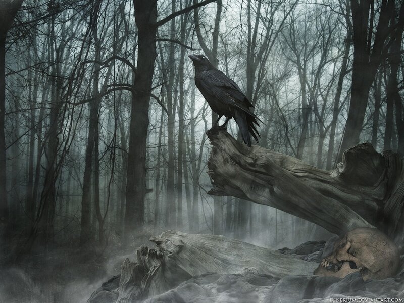 Raven on Dead Tree