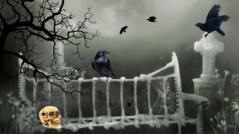 Raven on Graveyard Bench