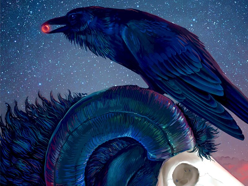 Raven on Skull — Blue