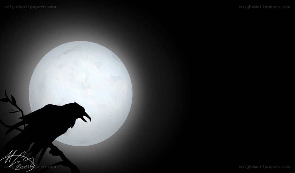 raven silhouette on moon