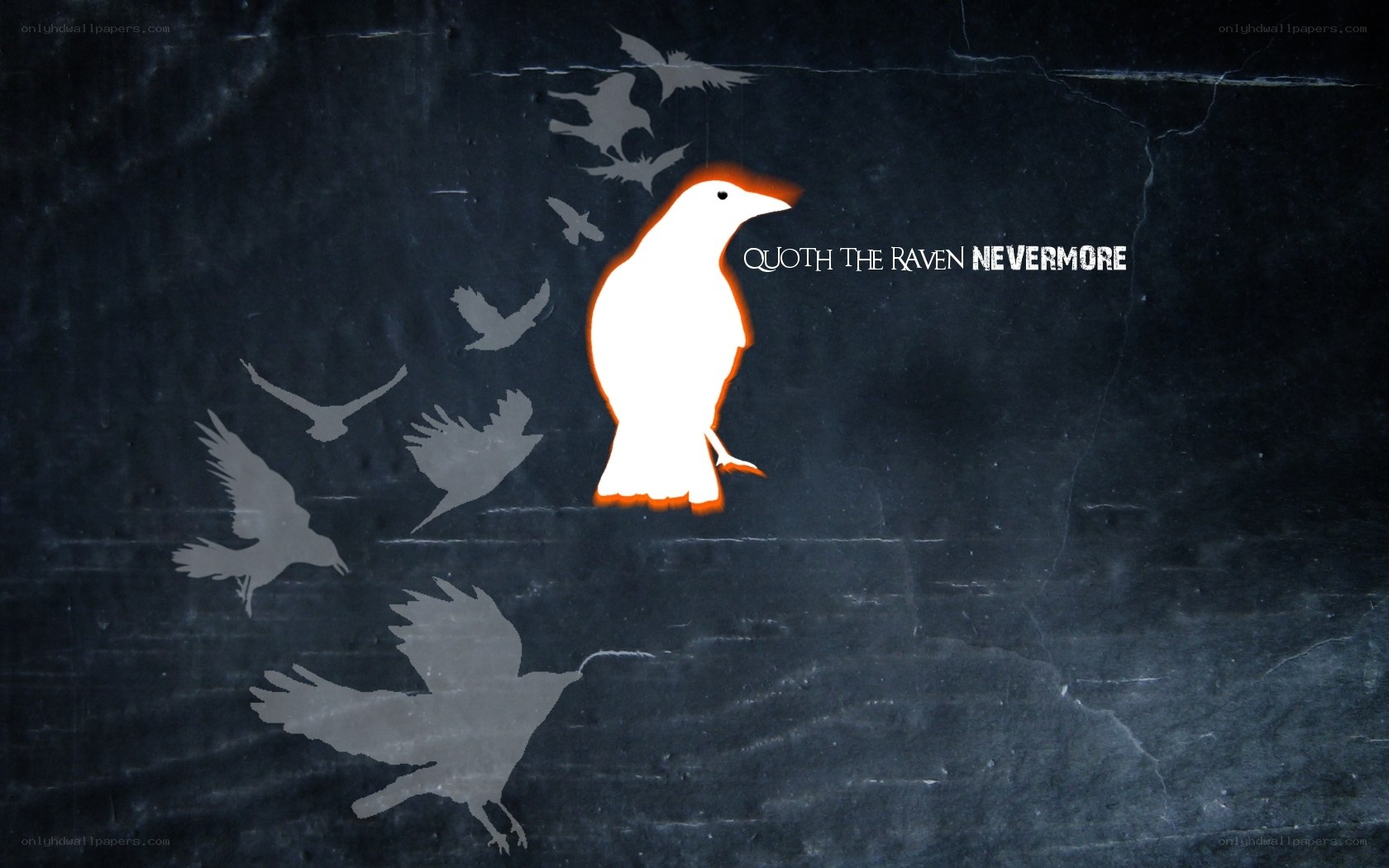 raven silhouette with quote