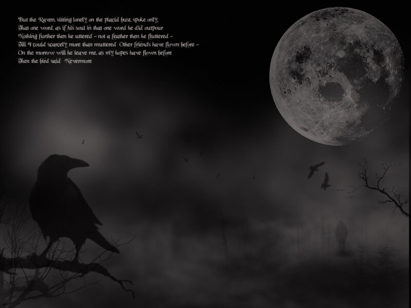 Raven under the moon