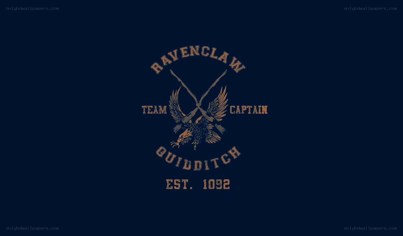 Ravenclaw Quidditch Team Captain