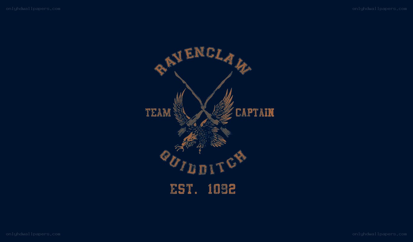 Ravenclaw Quidditch Team Captain