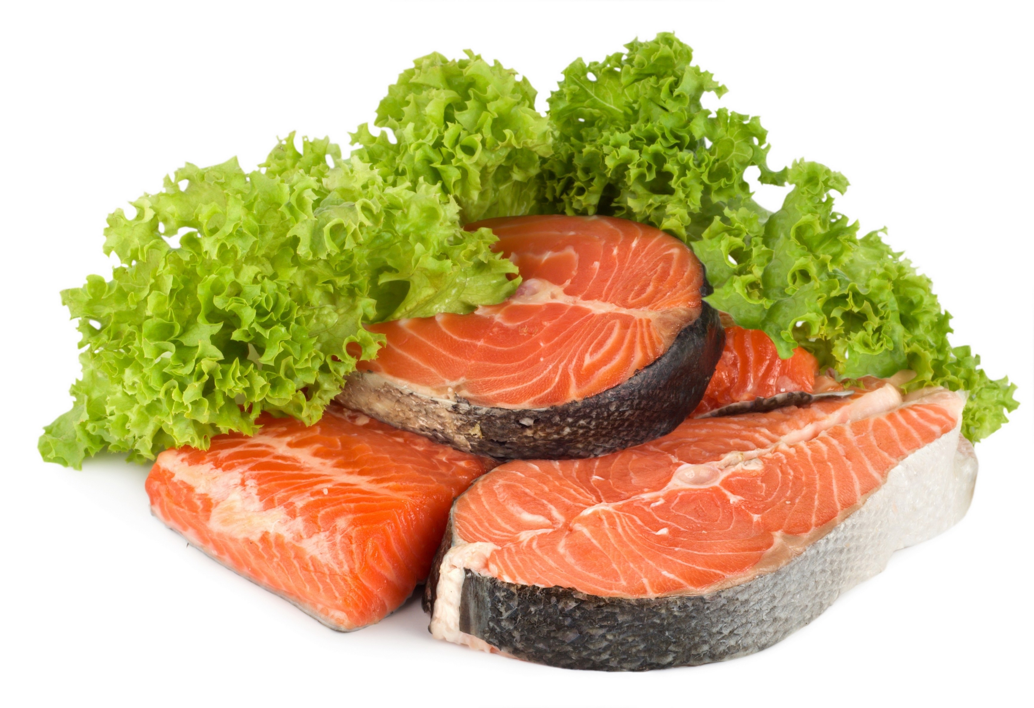 raw salmon fillets with lettuce