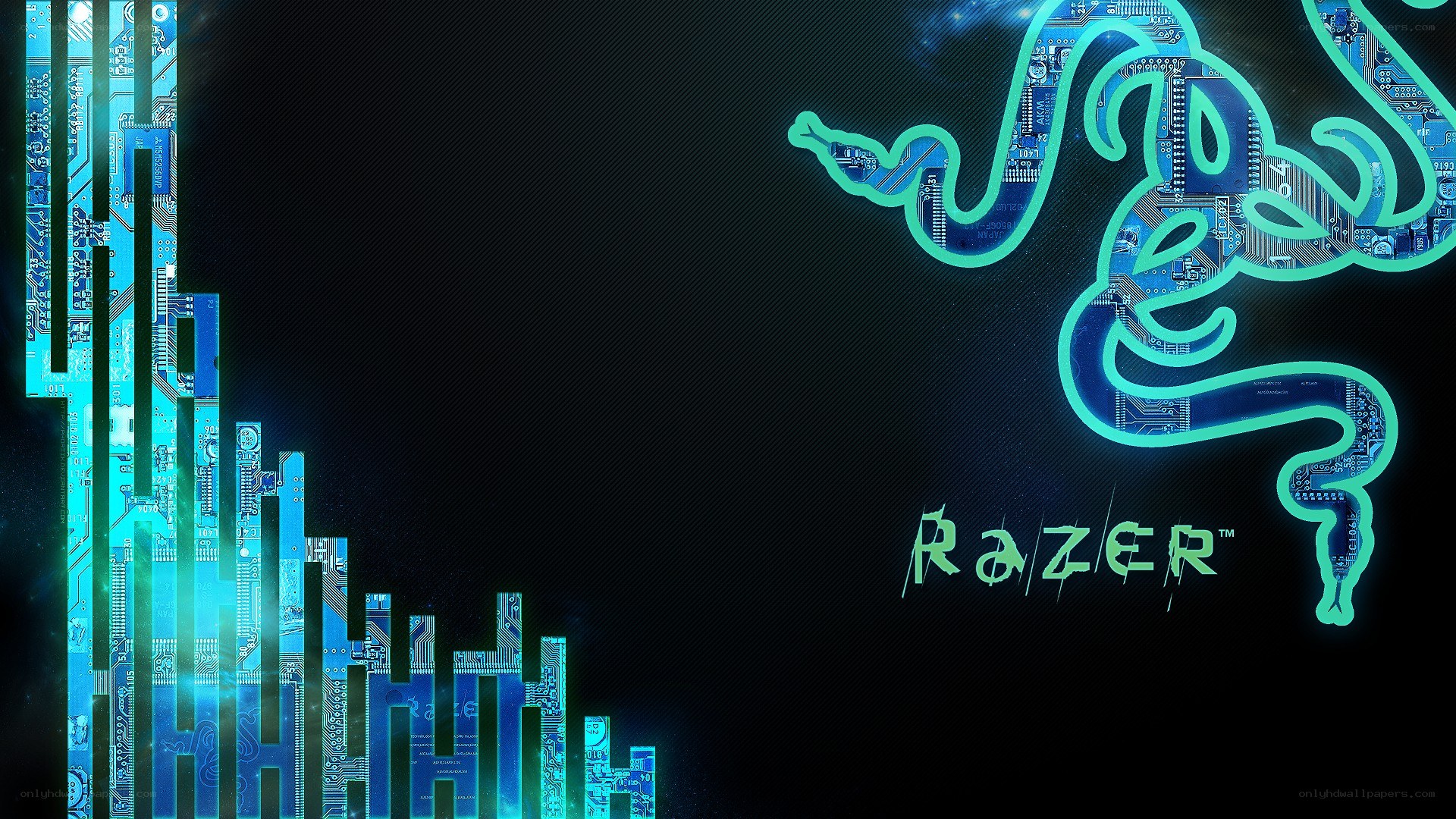 Razer brand digital wallpaper