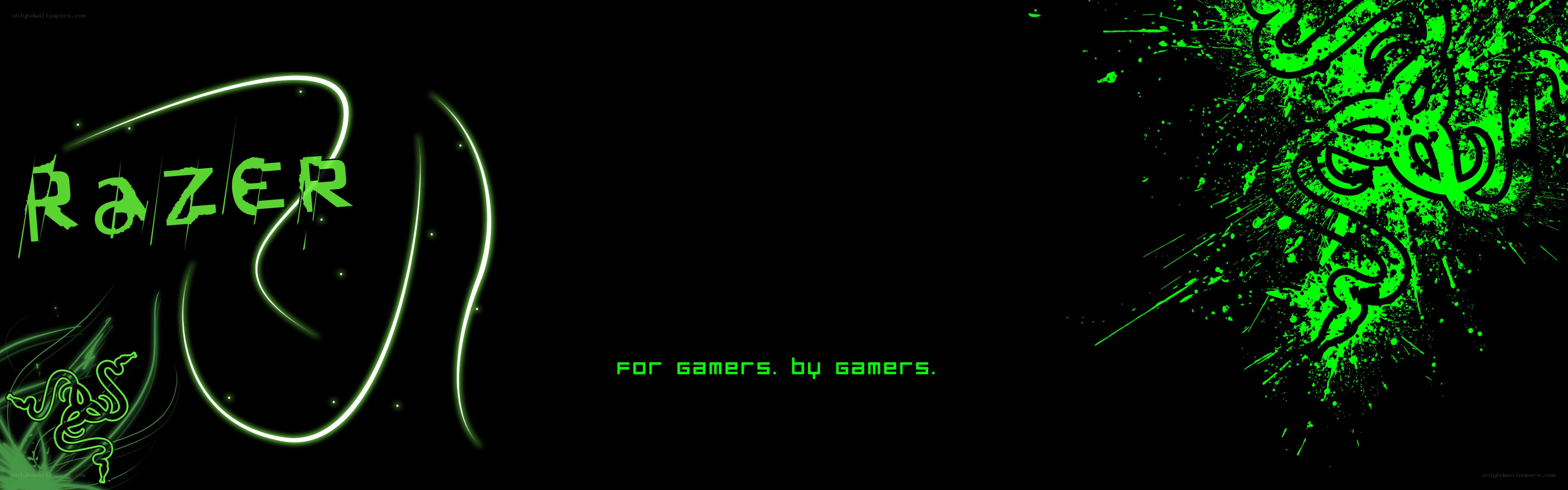 Razer brand logo banner