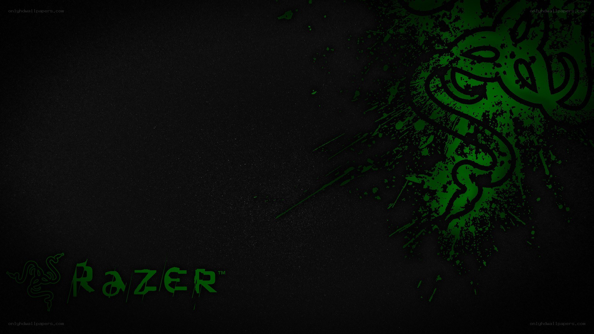 Razer brand logo wallpaper
