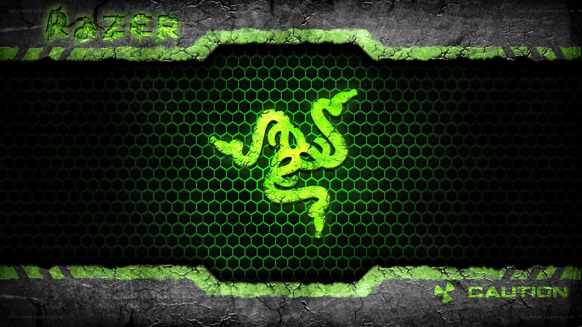 Razer brand wallpaper