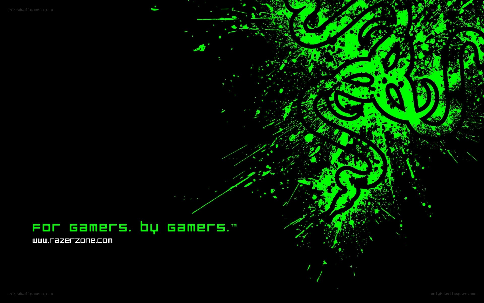 Razer brand wallpaper