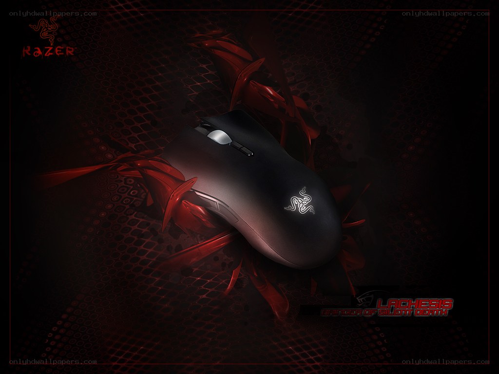 Razer Lachesis mouse