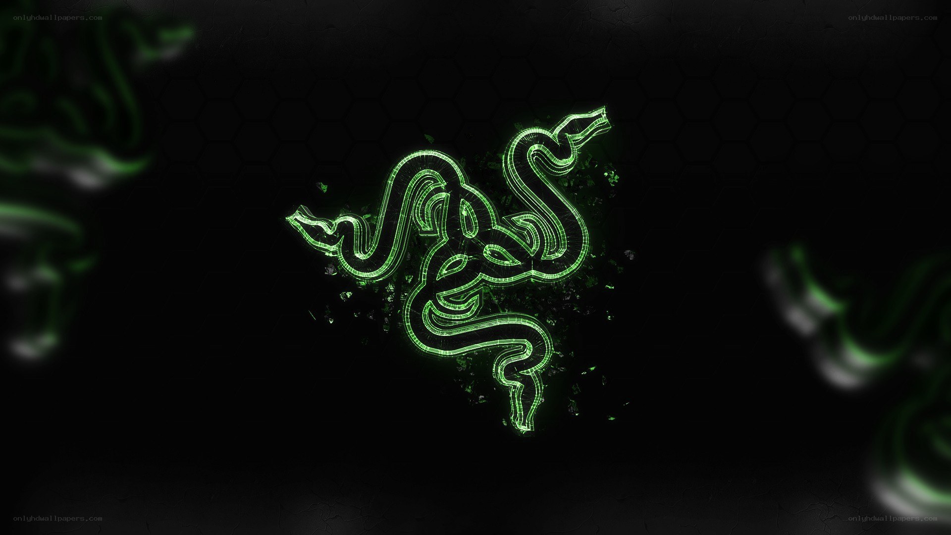 Razer logo neon green