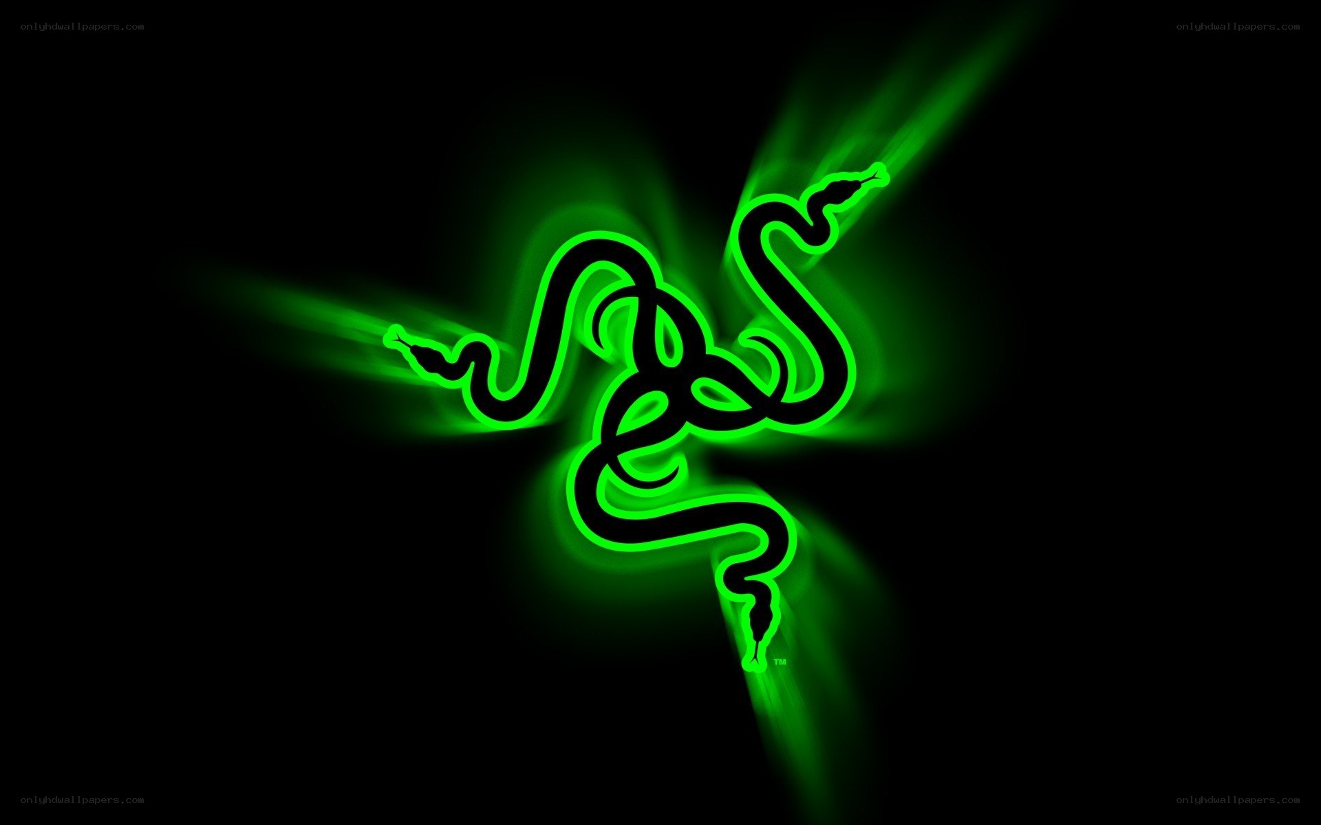 Razer logo neon green
