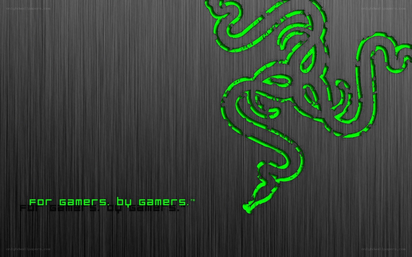 Razer logo on brushed metal