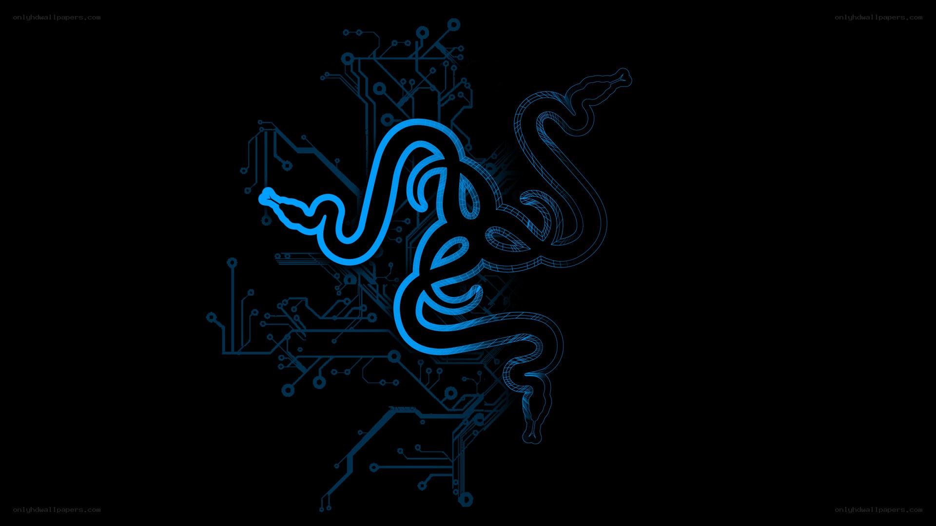 Razer logo on circuit board