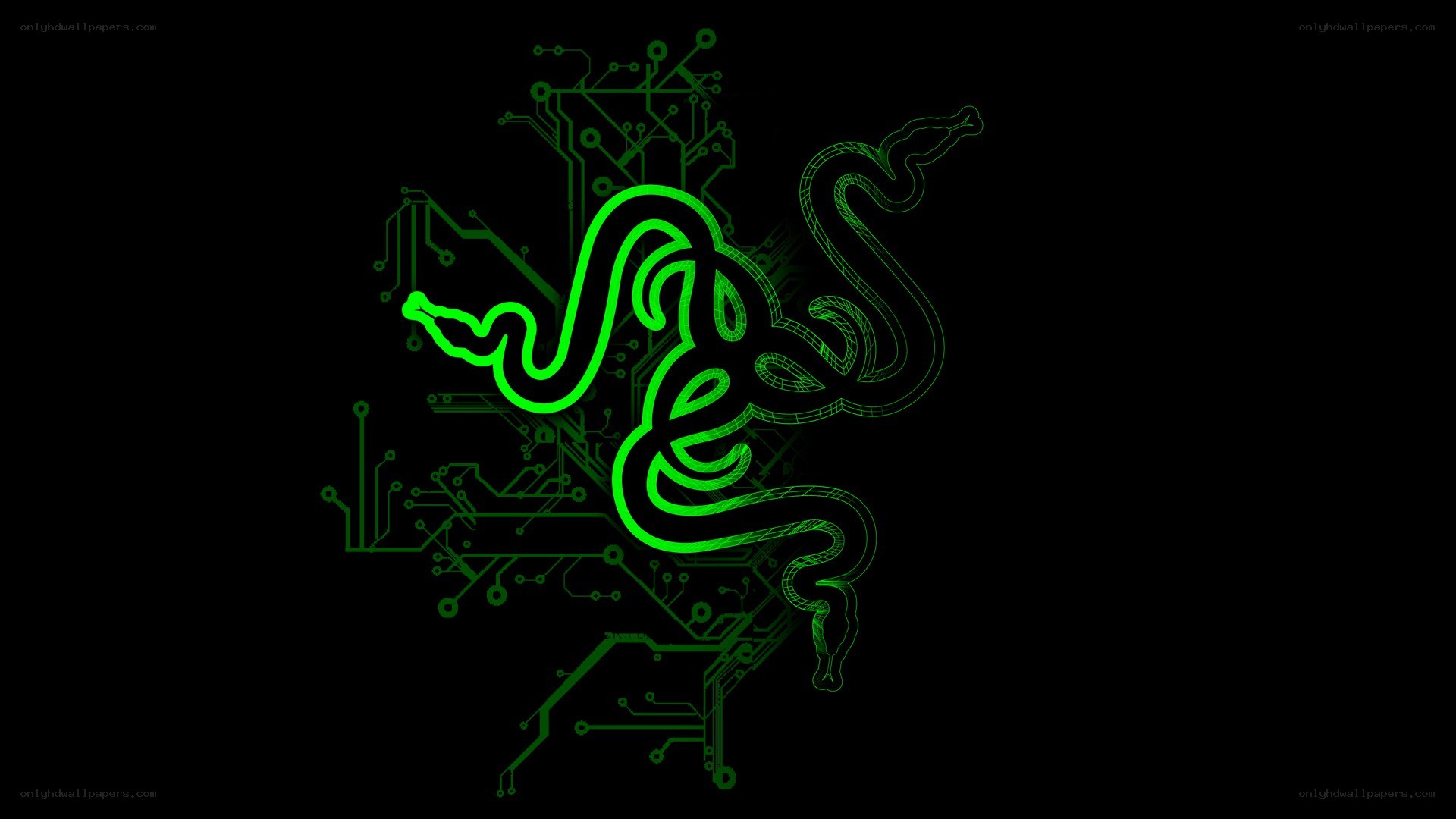 Razer logo on circuit board