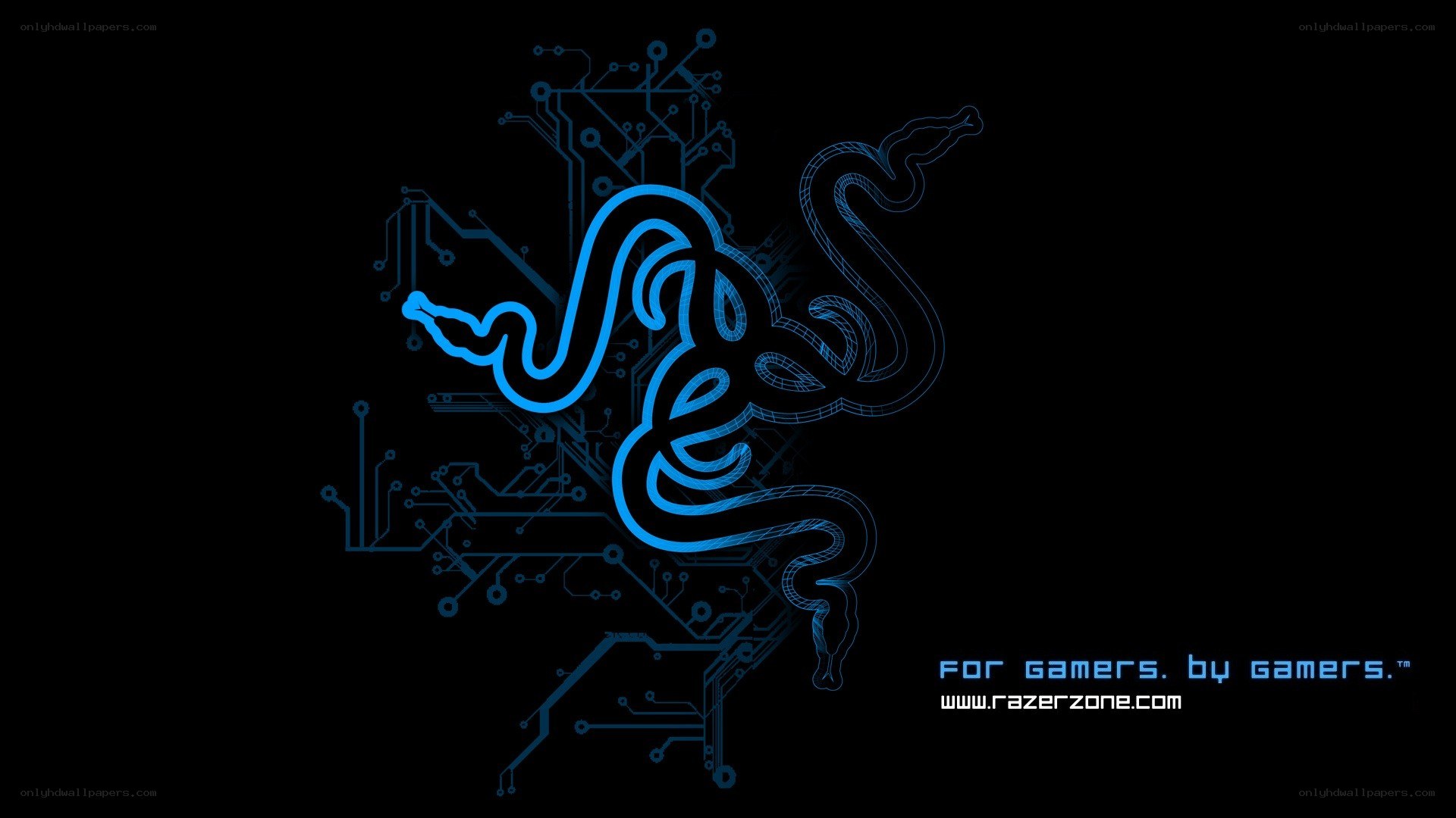 Razer logo on circuit board